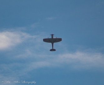 Spitfire