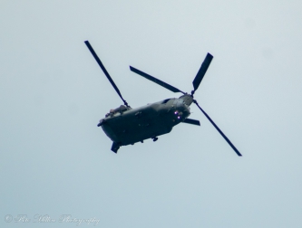 Chinook