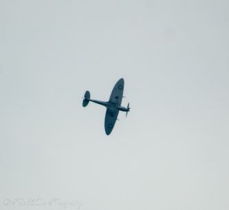 Spitfire
