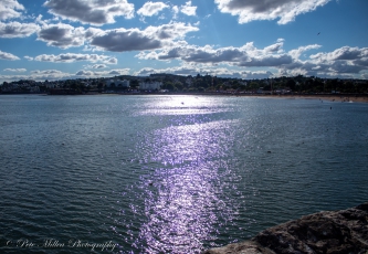 Sun Shiny Sea