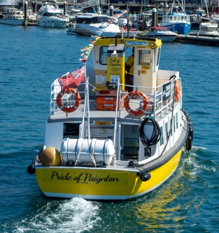 Pride of Paignton