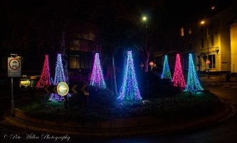 Trees on the roundabout